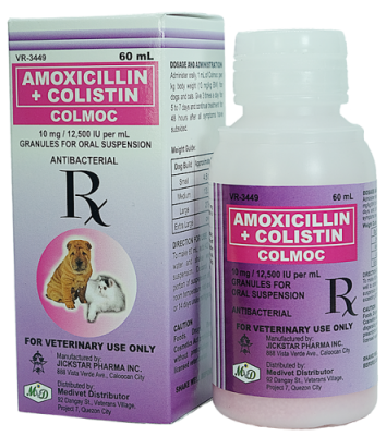 can dogs take augmentin for bladder infection