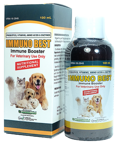 Best vitamins for dog appetite hotsell