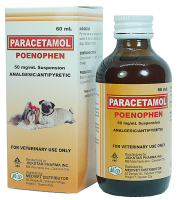 can dogs take paracetamol for pain relief