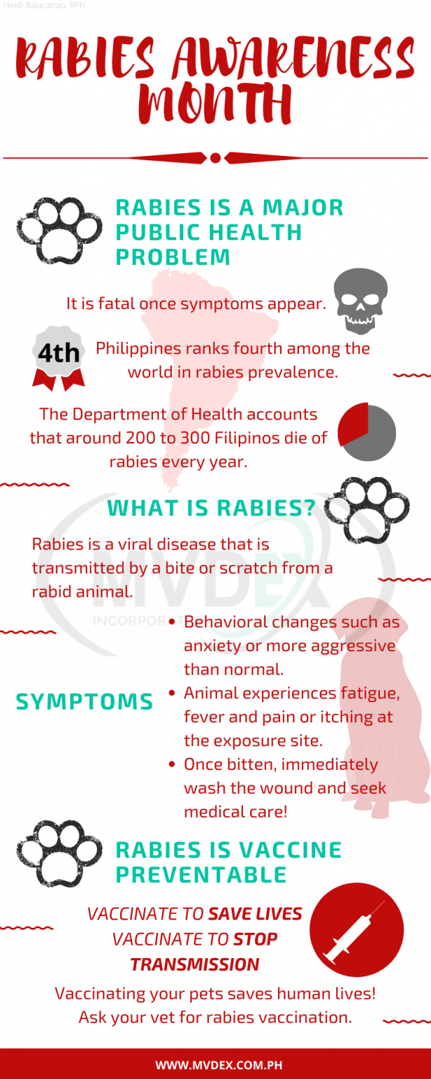 Rabies Awarness Month Mvdex   RABIES 614x1536 